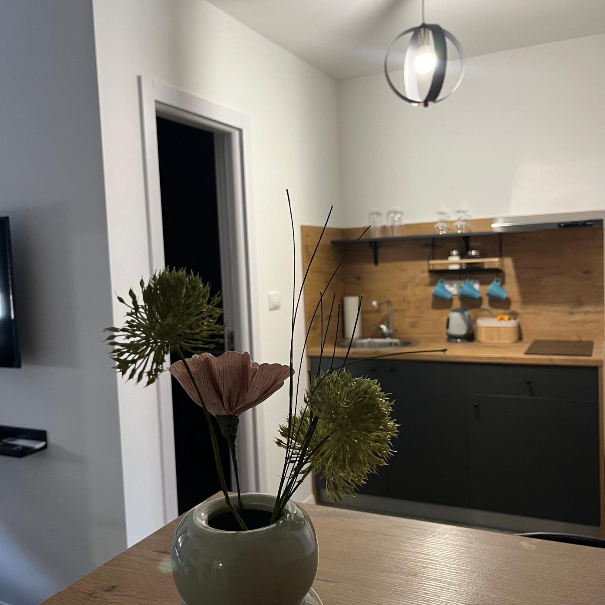 Beoair Apartments Surčin Eksteriør billede